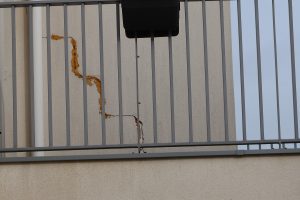 Fissures sur un bâtiment : pourquoi faire appel à un expert indépendant